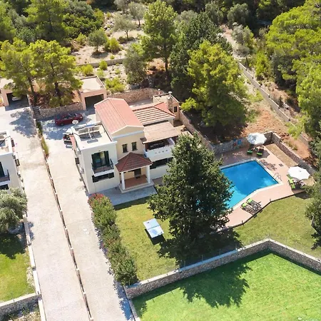 Dimitra Springs By *